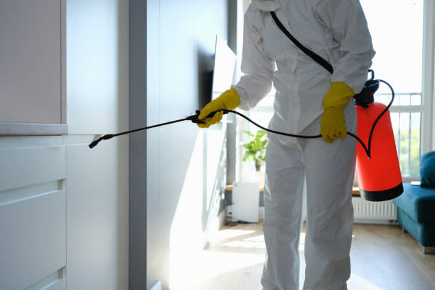 Best Pest Prevention Services  in USA